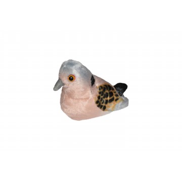 Turtle Dove With Real Call