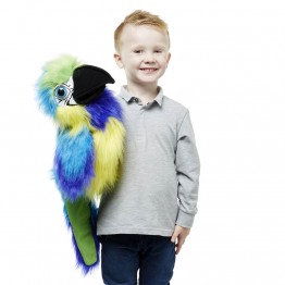 Large Bird - Blue & Gold Macaw