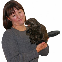Beaver Hand Puppet