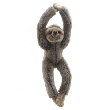 Sloth - Wilberry Canopy Climbers